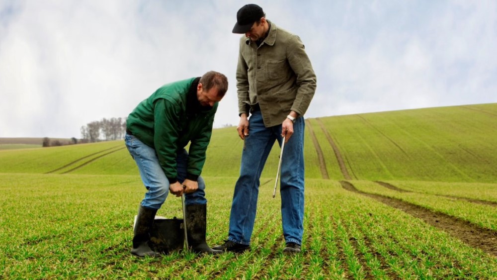  two farmers in a field reviewing the soil 