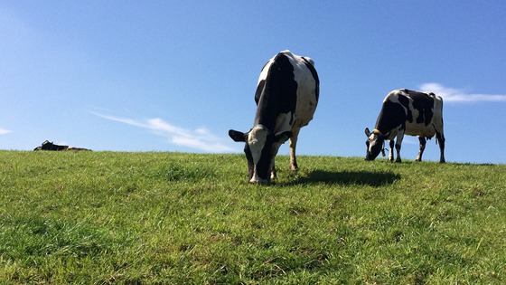 Pushing output from grass