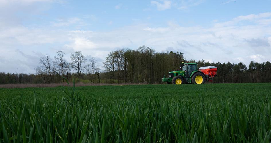 Tractor on a wheat field