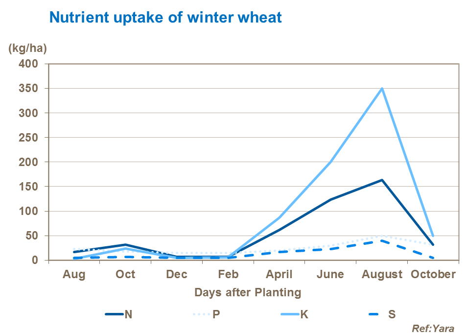 Nutrient uptake graph of winter wheat