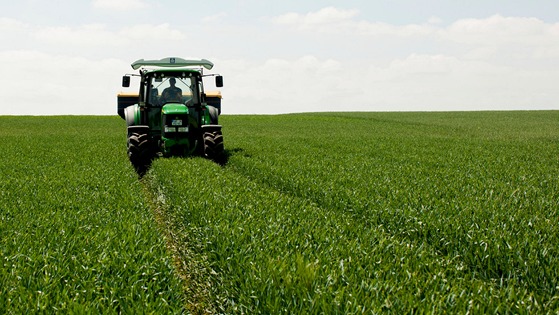 Planning nitrogen fertilizer applications