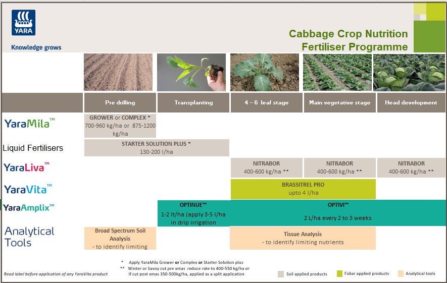 Cabbage Crop Program