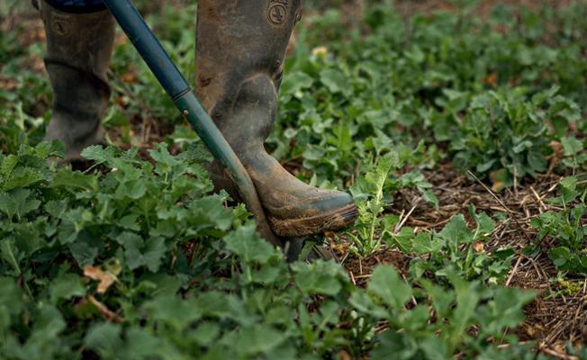 Soil analysis in a field