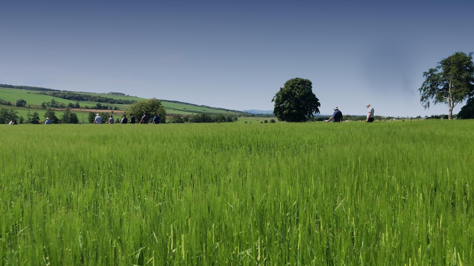 YaraVita Mantrac Pro