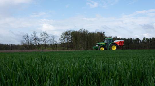 Tractor on a wheat field