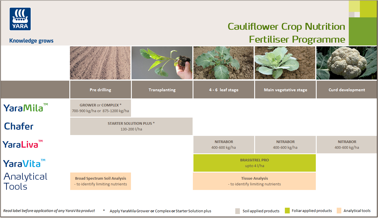 Cauliflower crop nutrition programme