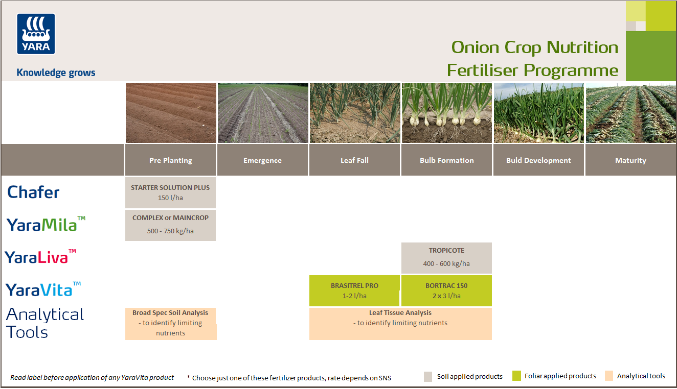 Onion crop programme
