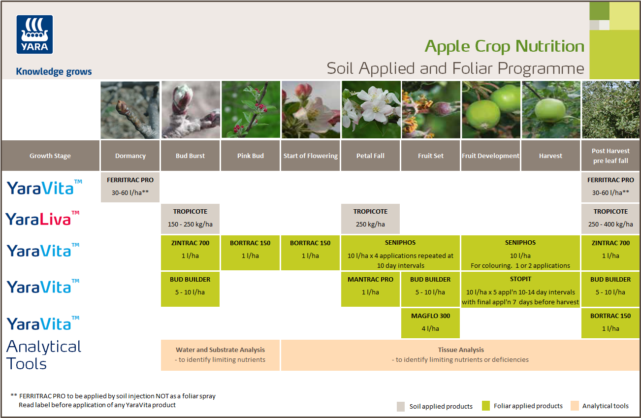 Apple fertiliser programme