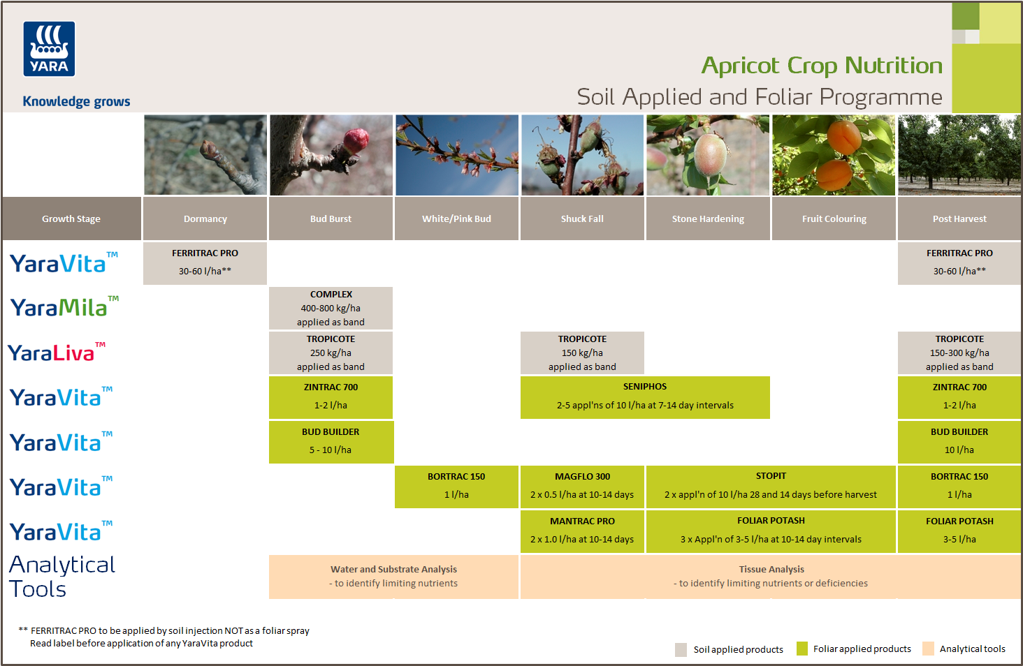 Apricot crop programme