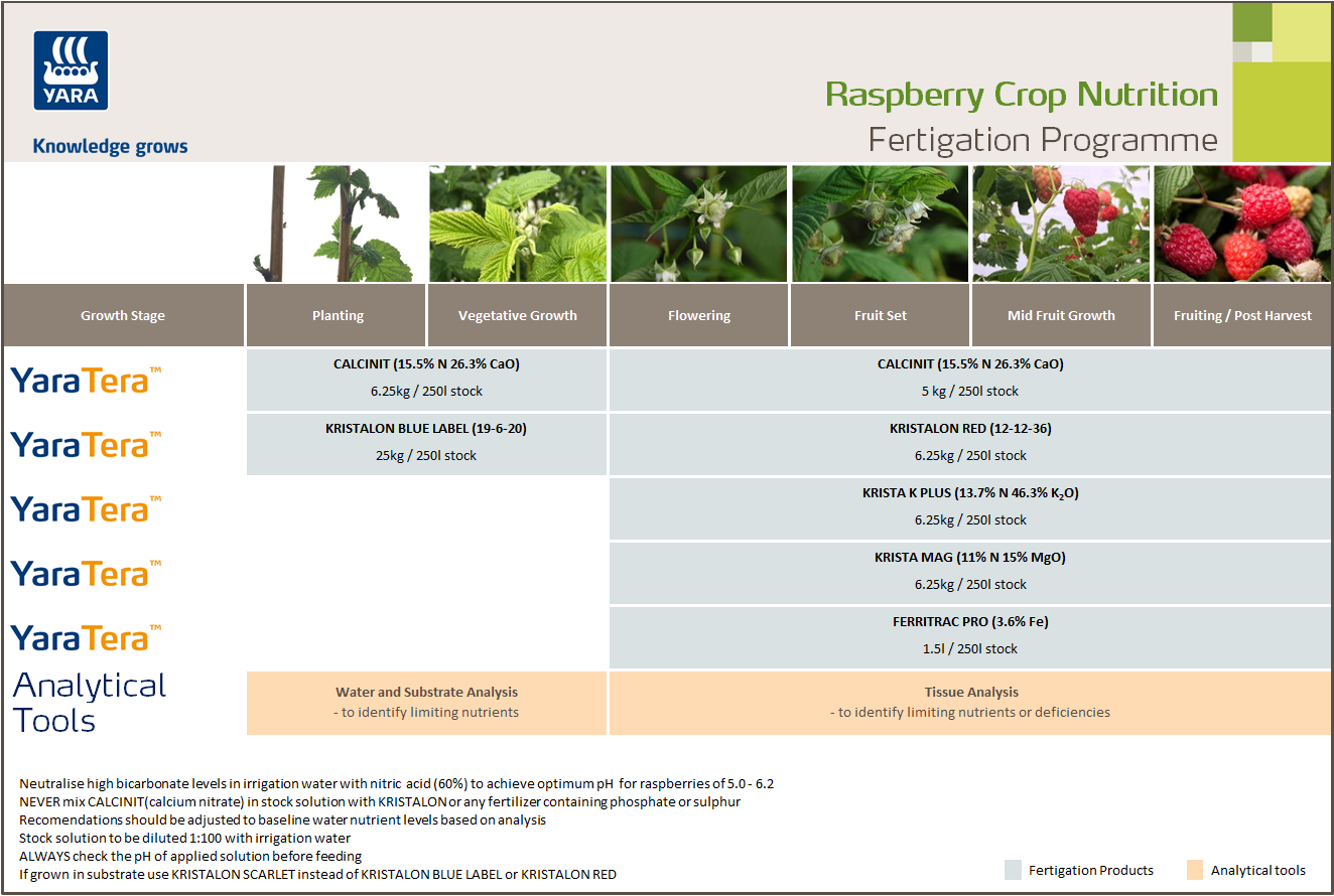 Raspberries fertigation programme