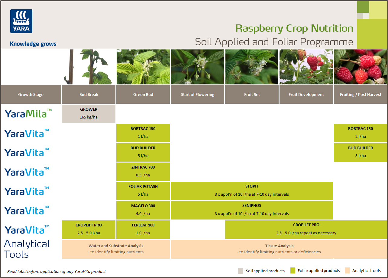 Raspberries solid fertiliser and foliar nutrition programme