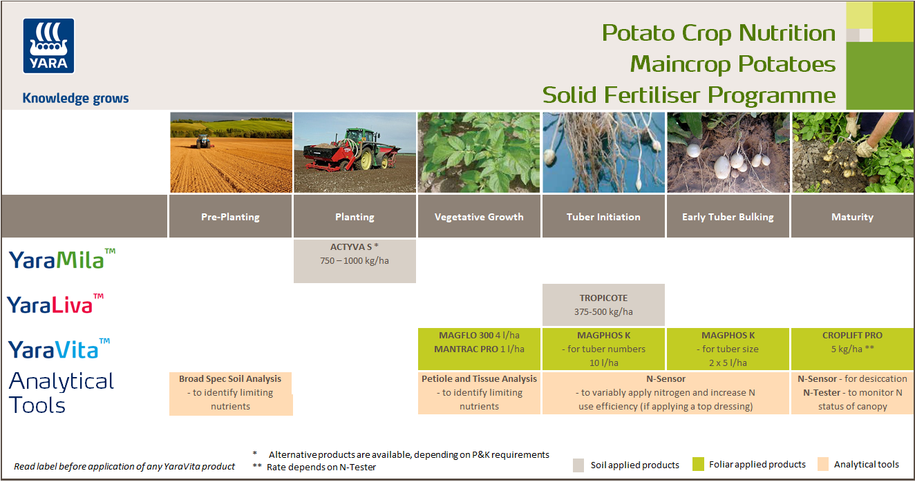 Maincrop potato fertiliser programme