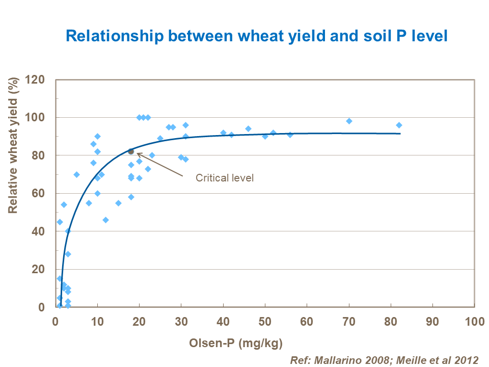 Relationship between wheat yield and soil P level