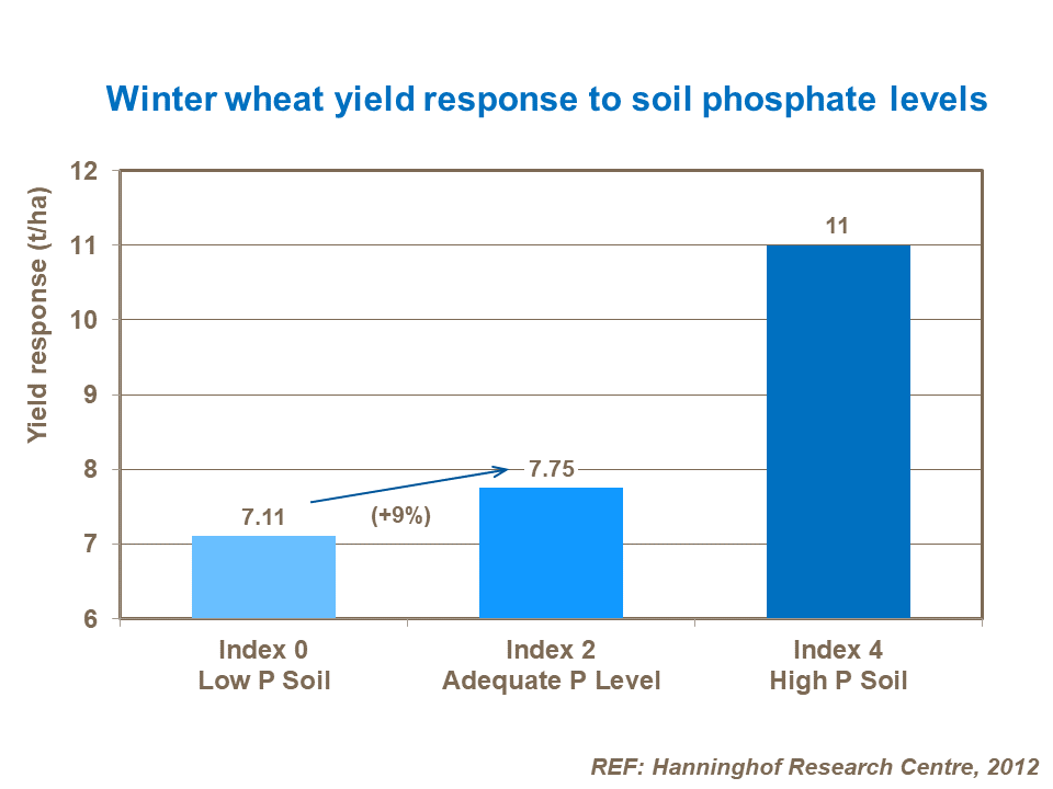 Winter wheat yield response to soil phosphate levels