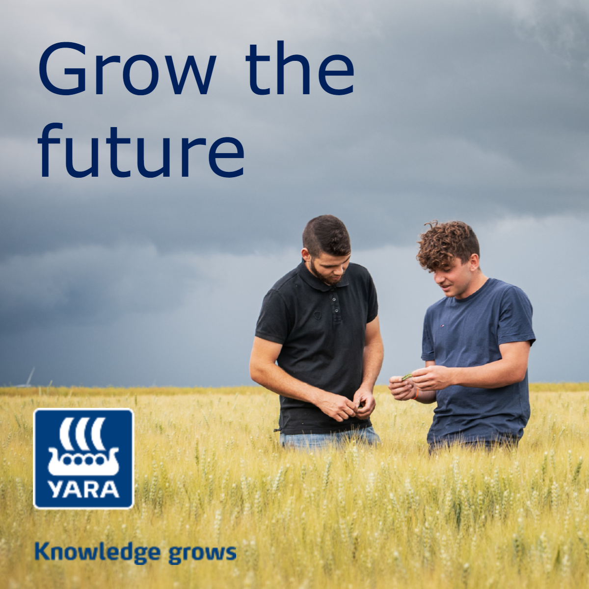 Image of two farmers viewing crops in a field linked to Yara's Grow the Future Podcast